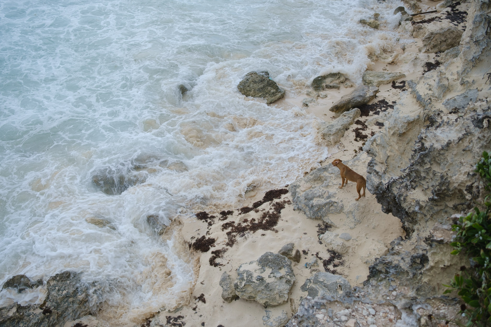 Photograph from Isla Mujeres