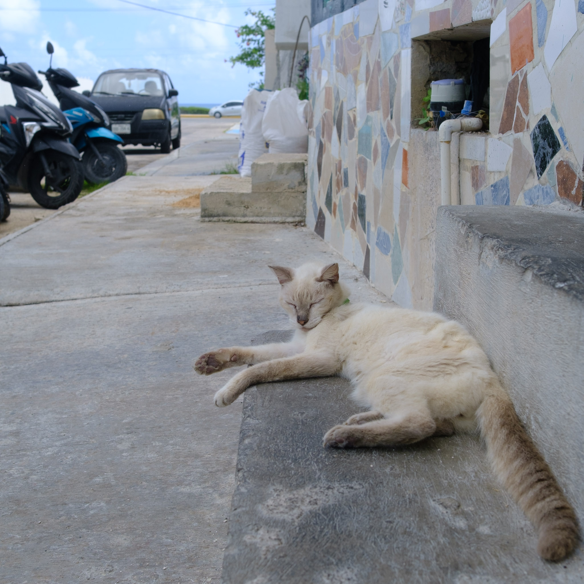 Photograph from Isla Mujeres