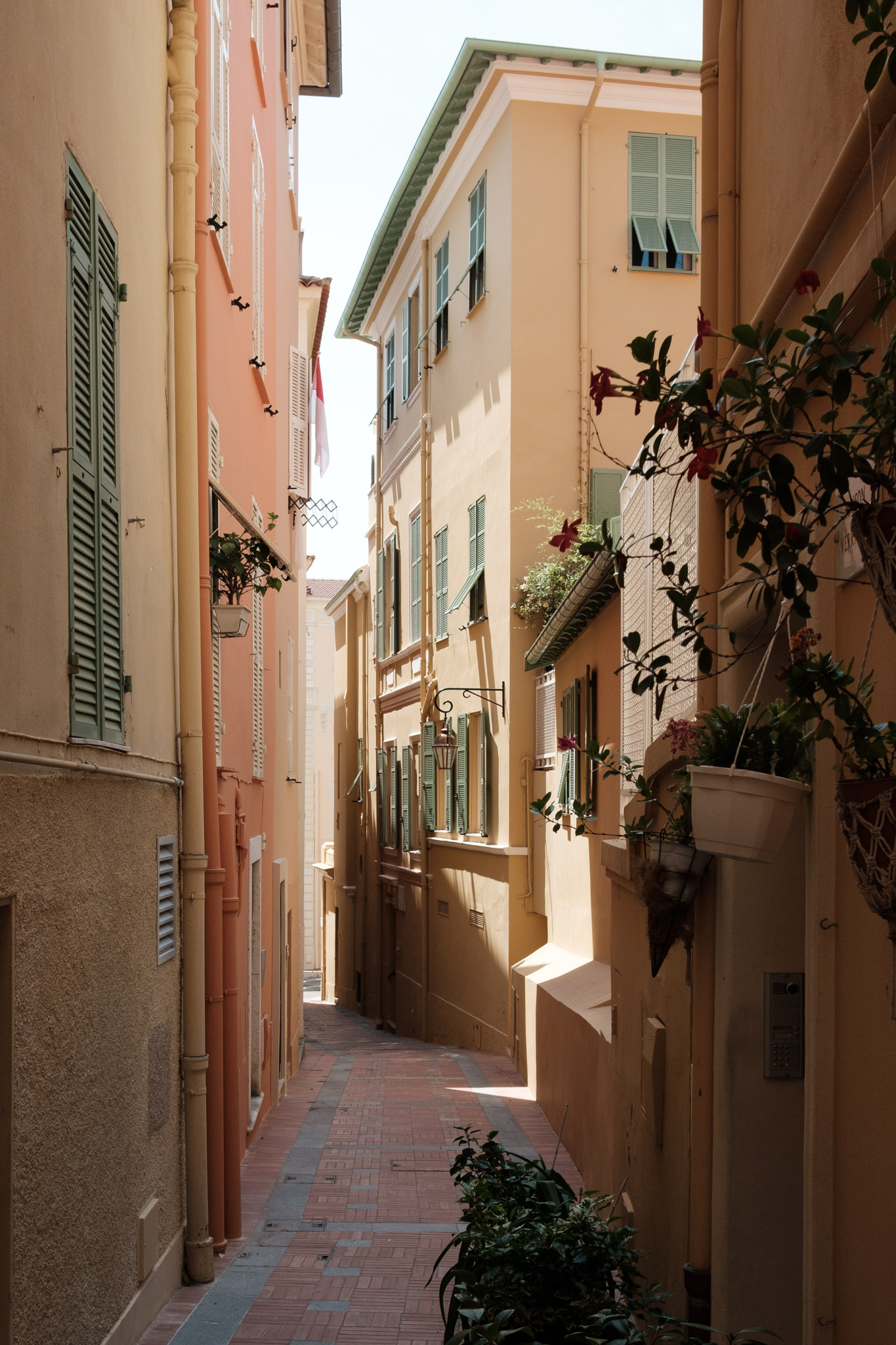 Photograph from Monaco