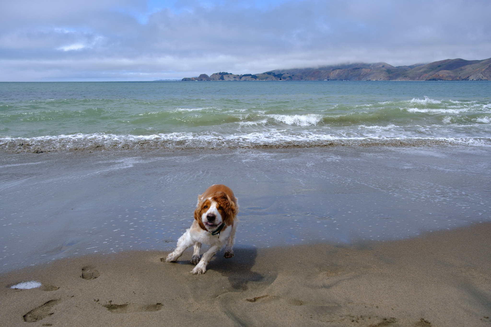 Photograph from SF Coast