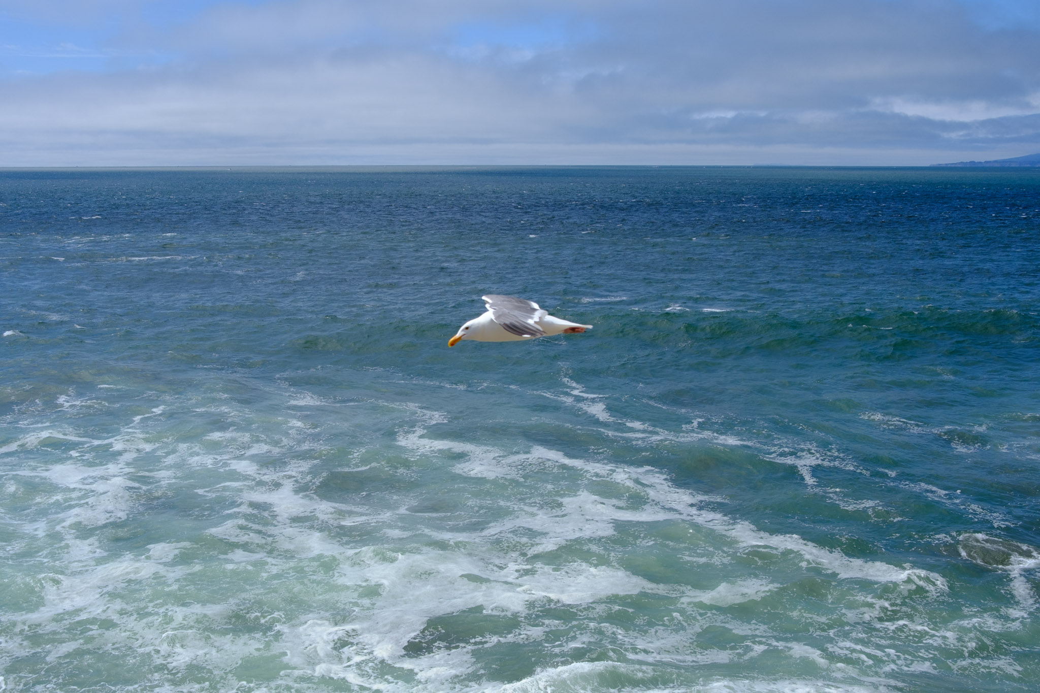 Photograph from SF Coast