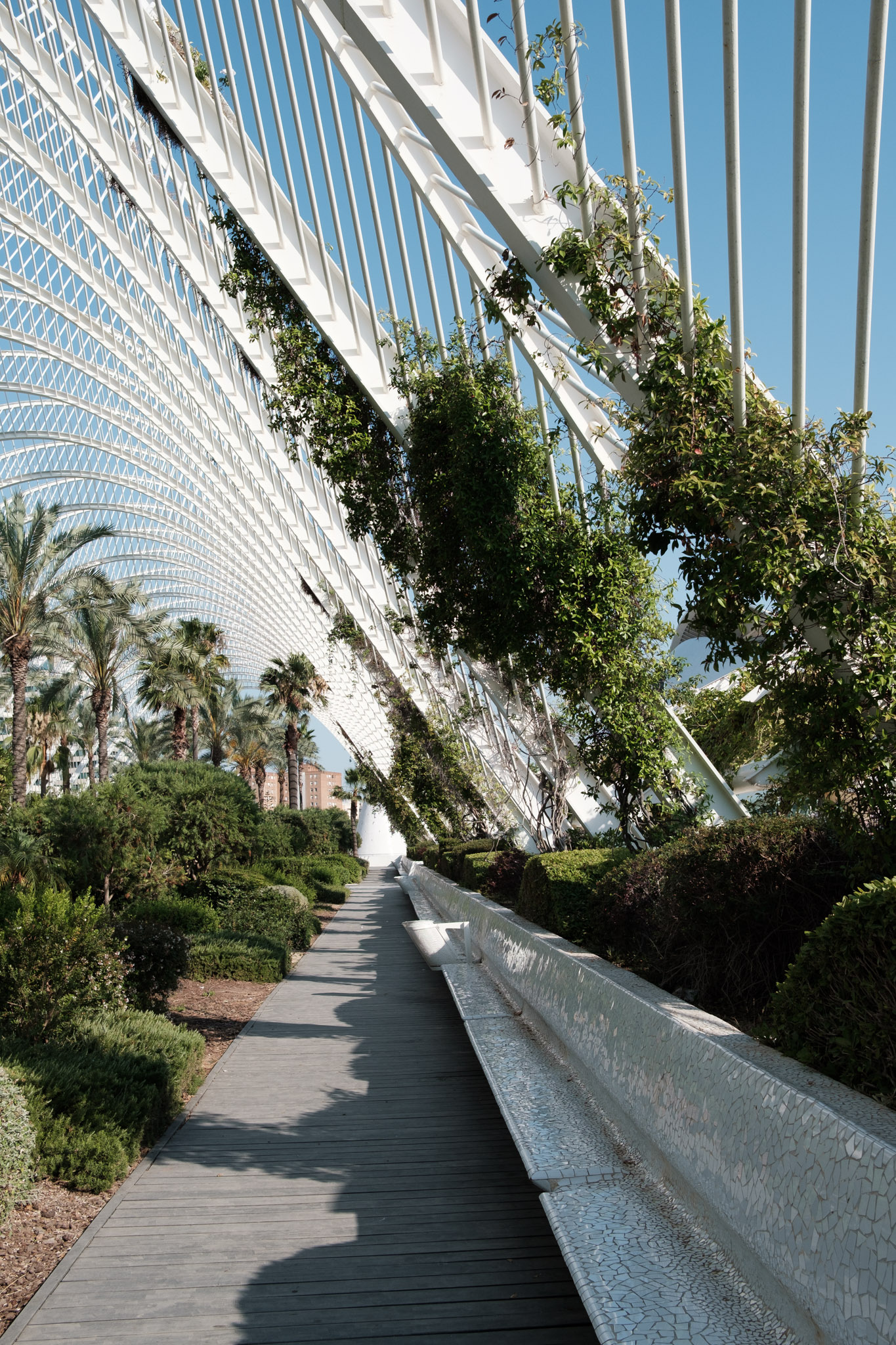 Photograph from Valencia