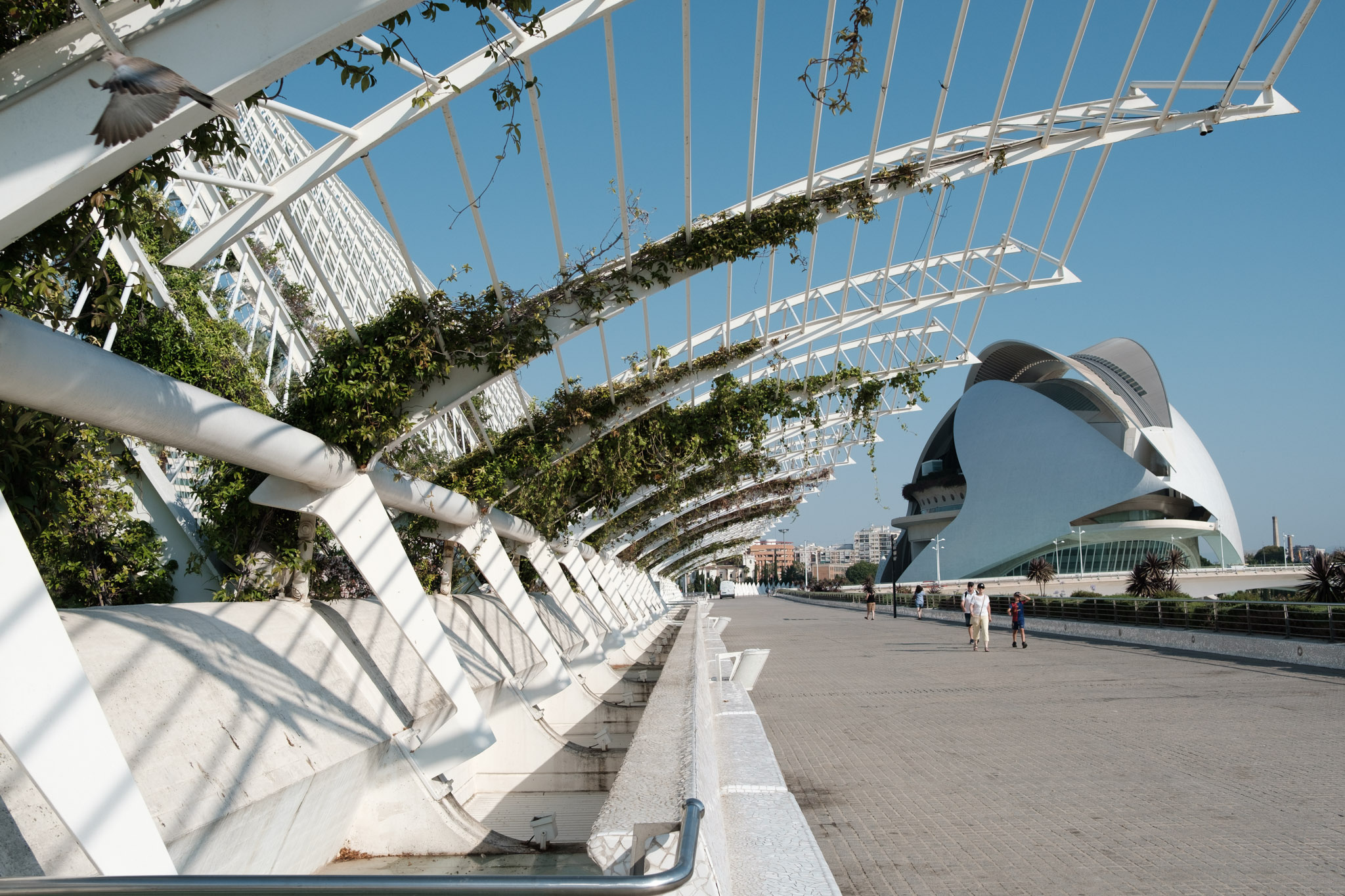 Photograph from Valencia