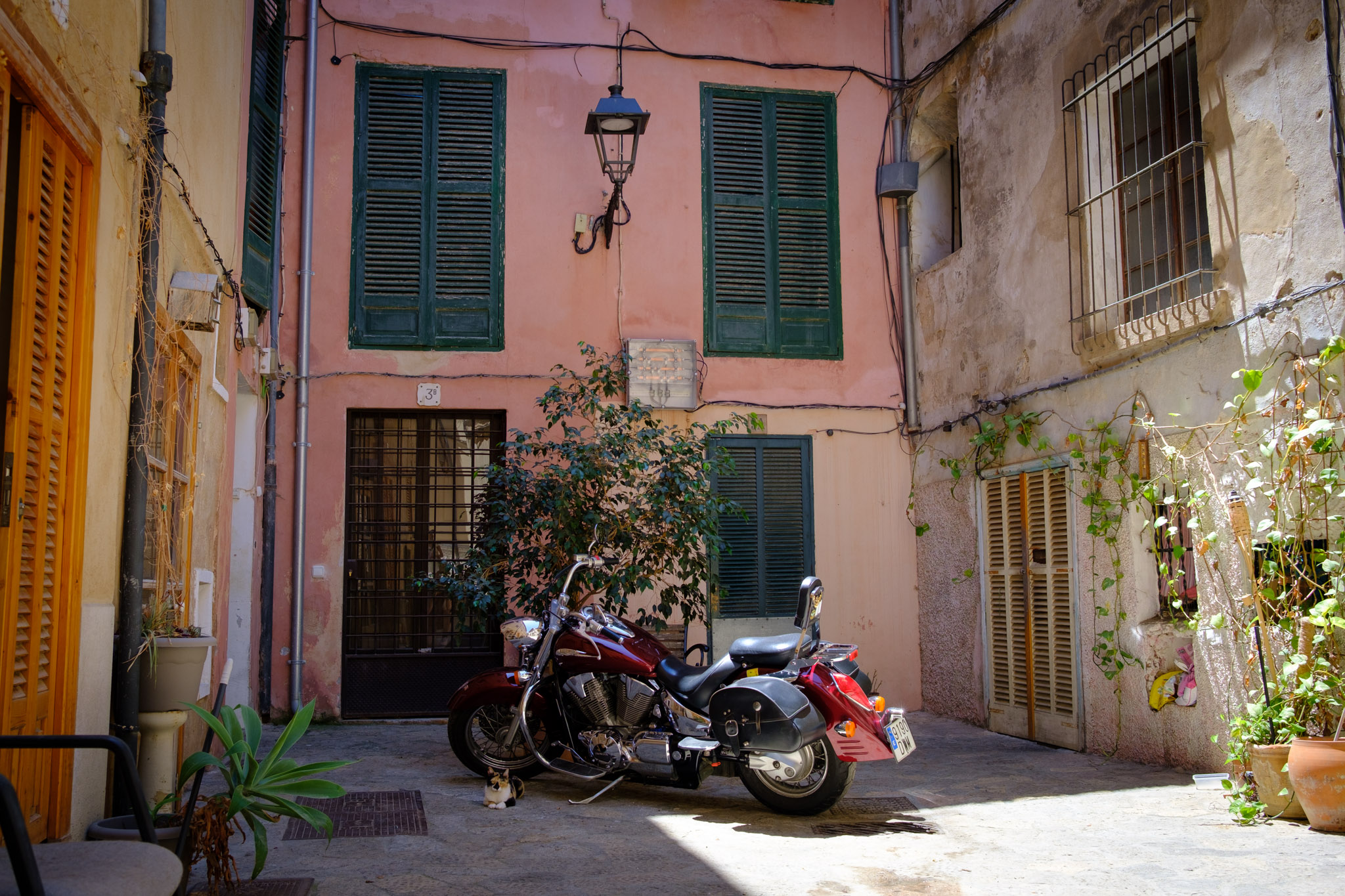 Photograph from Valencia