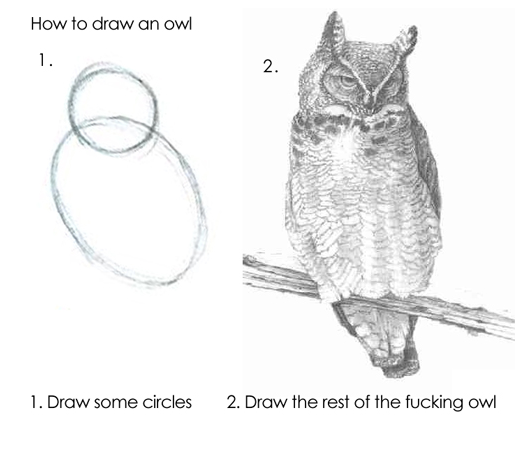 A two-panel drawing tutorial that jumps from two ovals to a finished owl